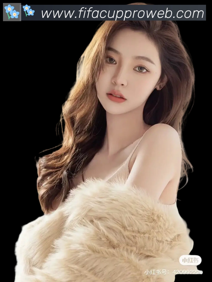 未来规划